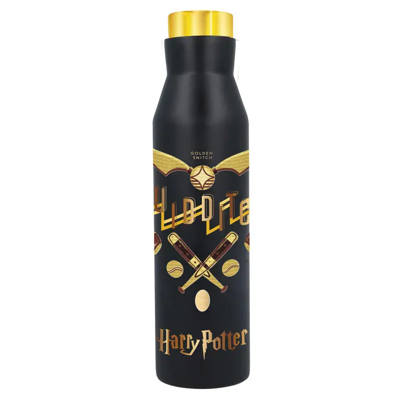 Sticla din otel inoxidabil Harry Potter 580ml poza produsului