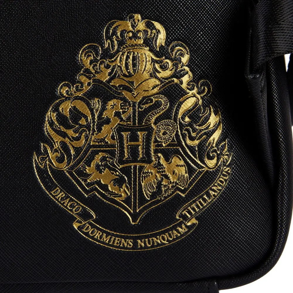 Harry Potter by Loungefly Rucsac Trilogia cu buzunar triplu poza produsului