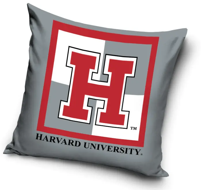 Harvard Husă de pernă 40*40 cm poza produsului