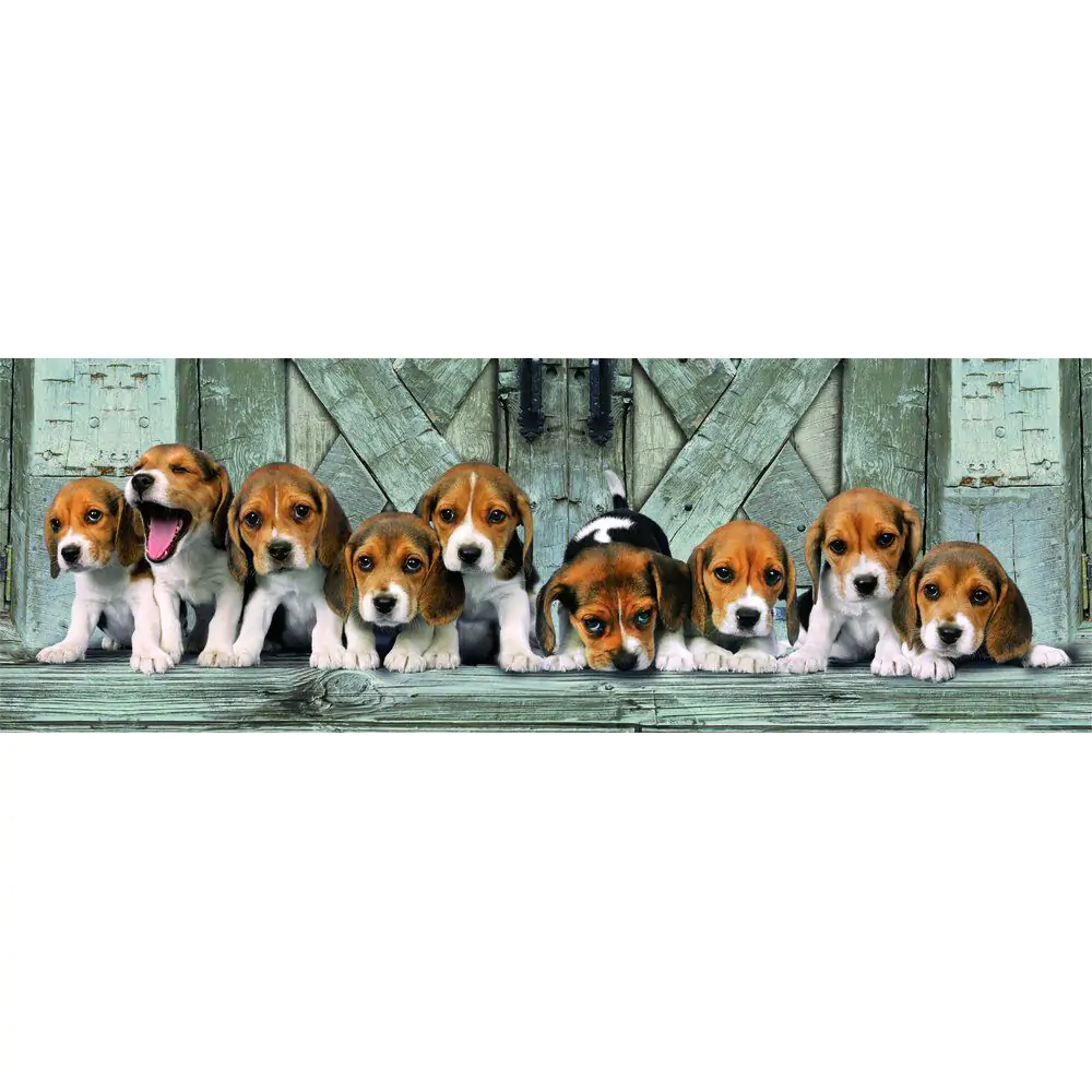 Puzzle panoramic Beagles de înaltă calitate 1000 piese poza produsului