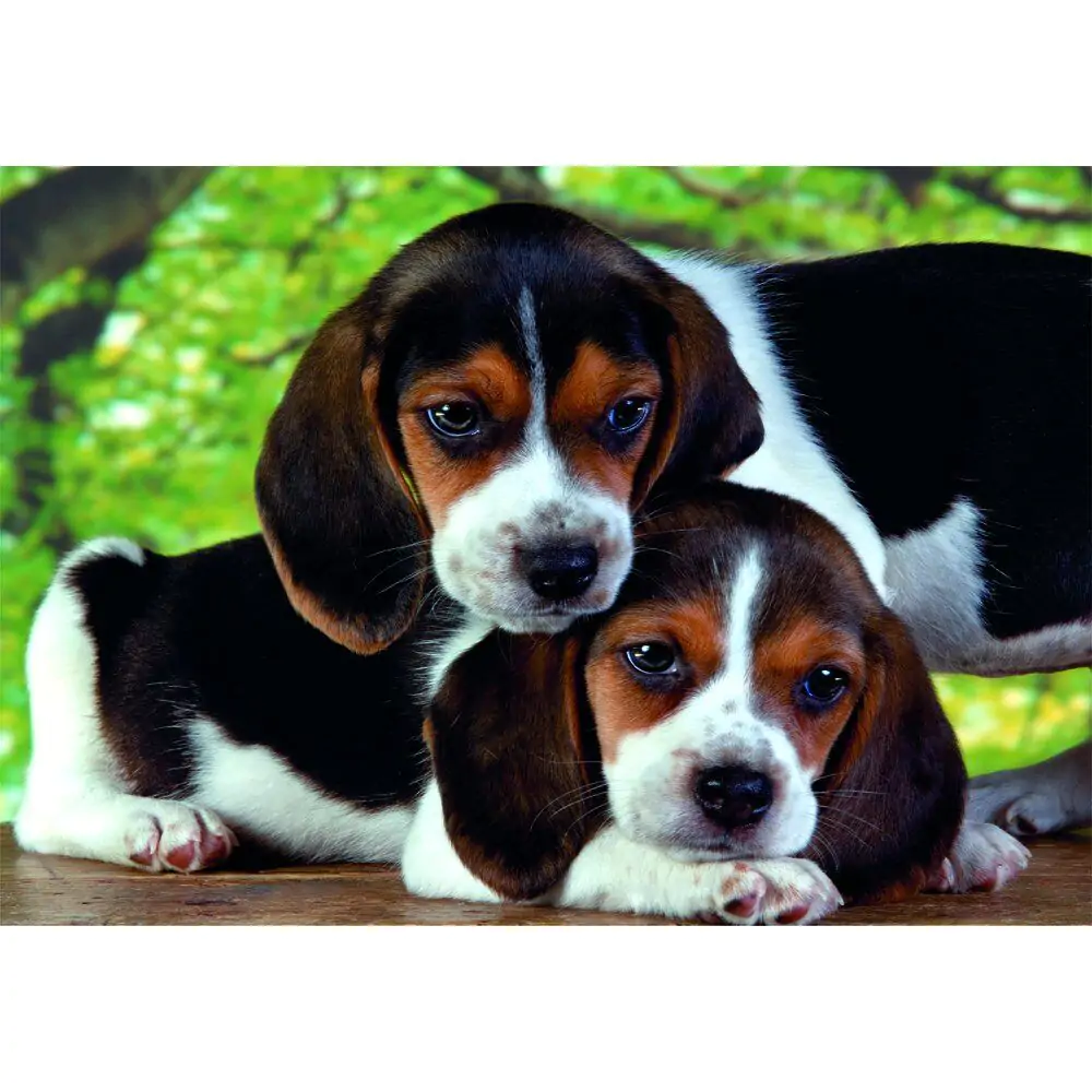 Puzzle de Înaltă Calitate Close Together 500 piese poza produsului