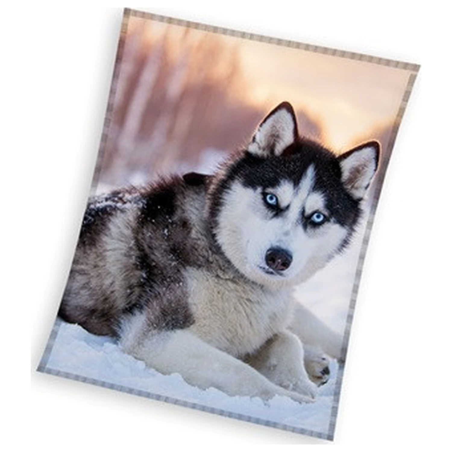 Patura fleece Husky poza produsului