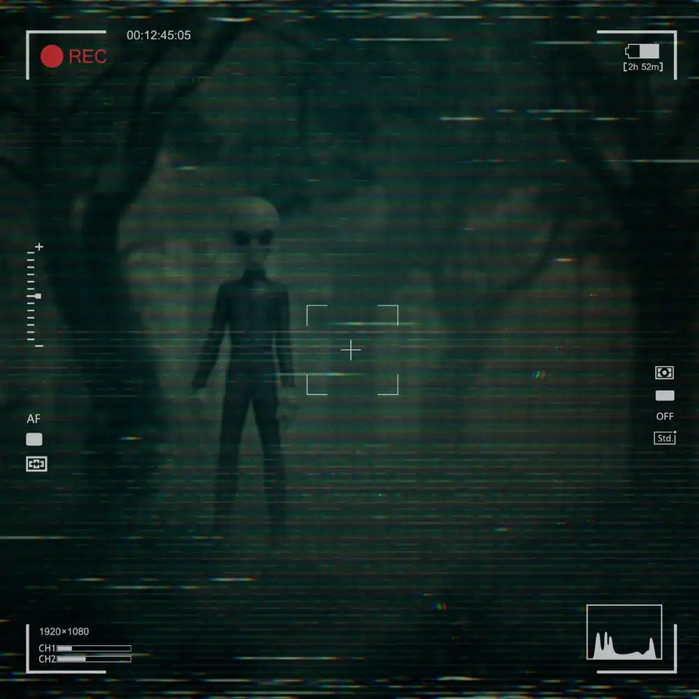 I want to Believe Art Scale Statuie 1/10 Alien Grey 21 cm poza produsului