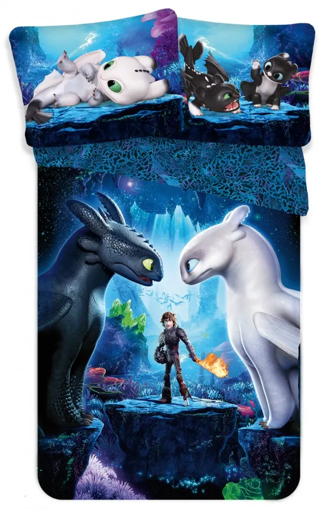 How to Train Your Dragon Husa Pilota 140x200cm, 70x90cm poza produsului
