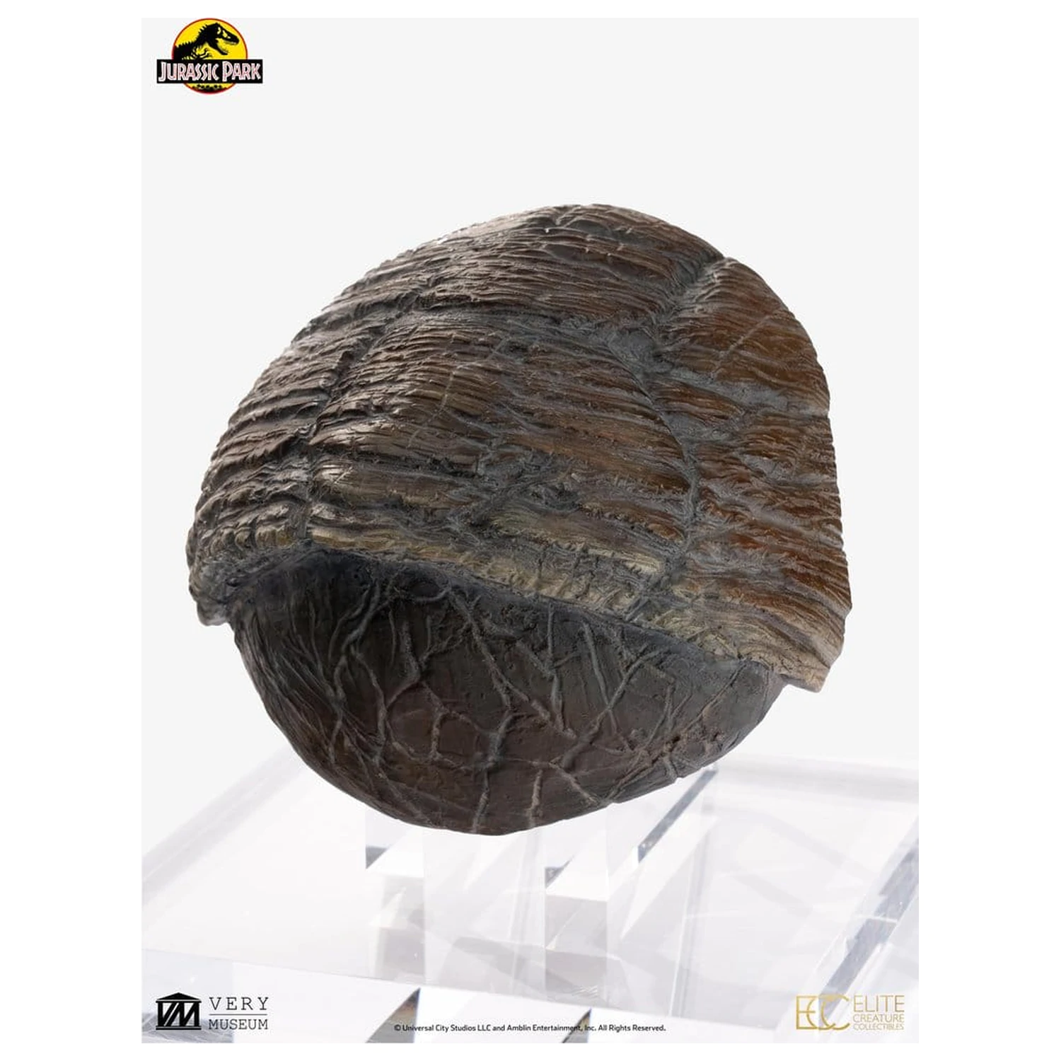 Jurassic Park 1/1 Replica Triceratops Toenail 16 cm poza produsului