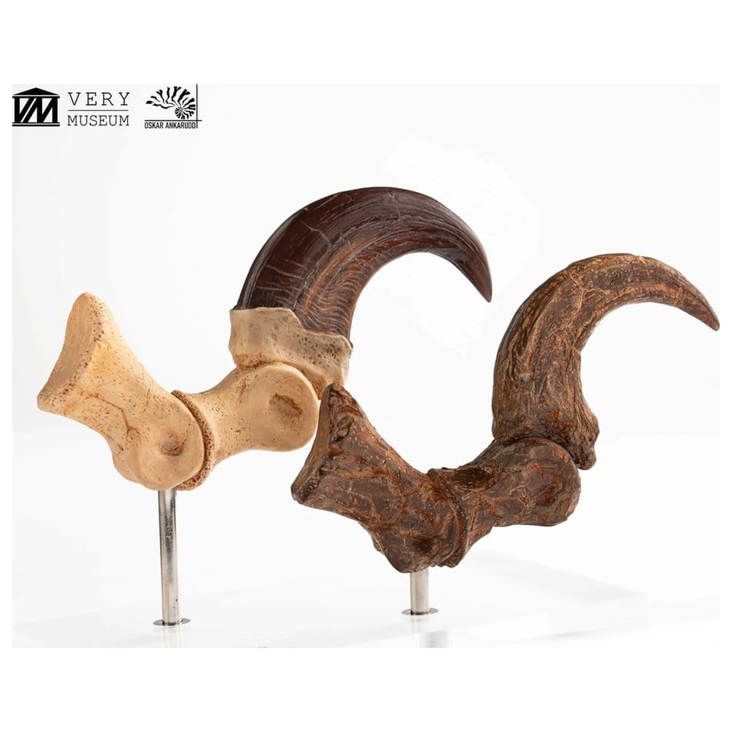 Jurassic Park ECC Elite Creature Line Statuie Gheara piciorului si setul de gheare fosilizate Velociraptor 20 cm poza produsului
