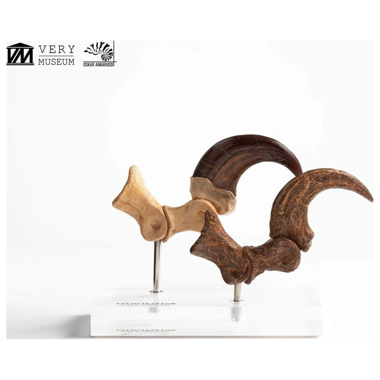 Jurassic Park ECC Elite Creature Line Statuie Gheara piciorului si setul de gheare fosilizate Velociraptor 20 cm poza produsului