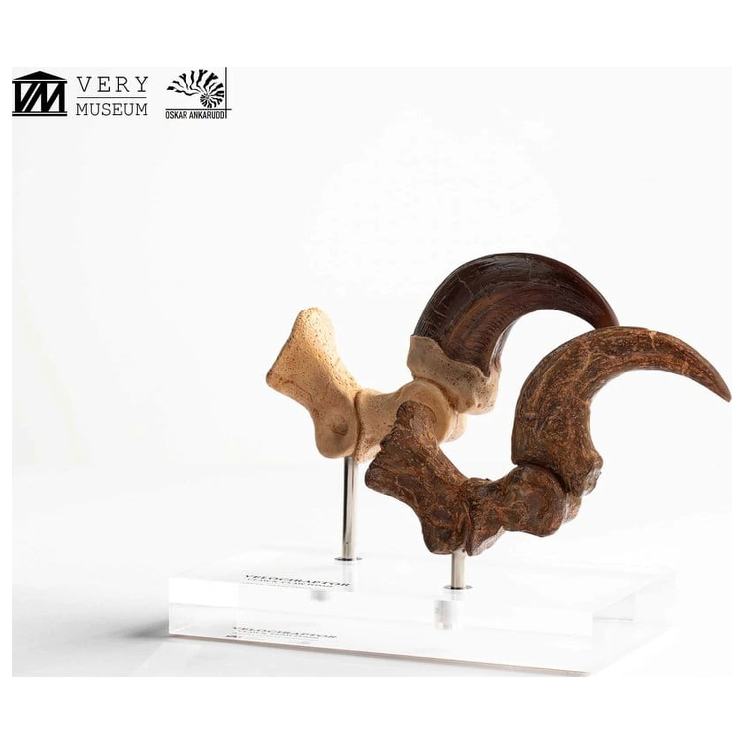 Jurassic Park ECC Elite Creature Line Statuie Gheara piciorului si setul de gheare fosilizate Velociraptor 20 cm poza produsului