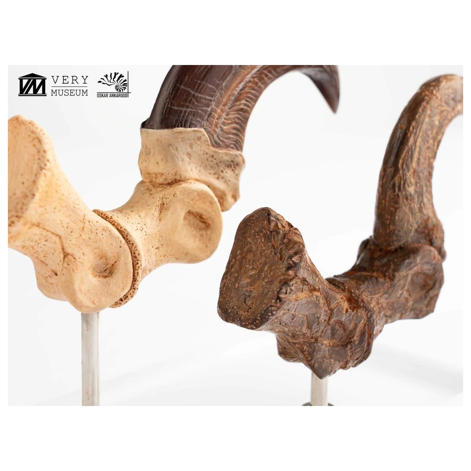 Jurassic Park ECC Elite Creature Line Statuie Gheara piciorului si setul de gheare fosilizate Velociraptor 20 cm poza produsului