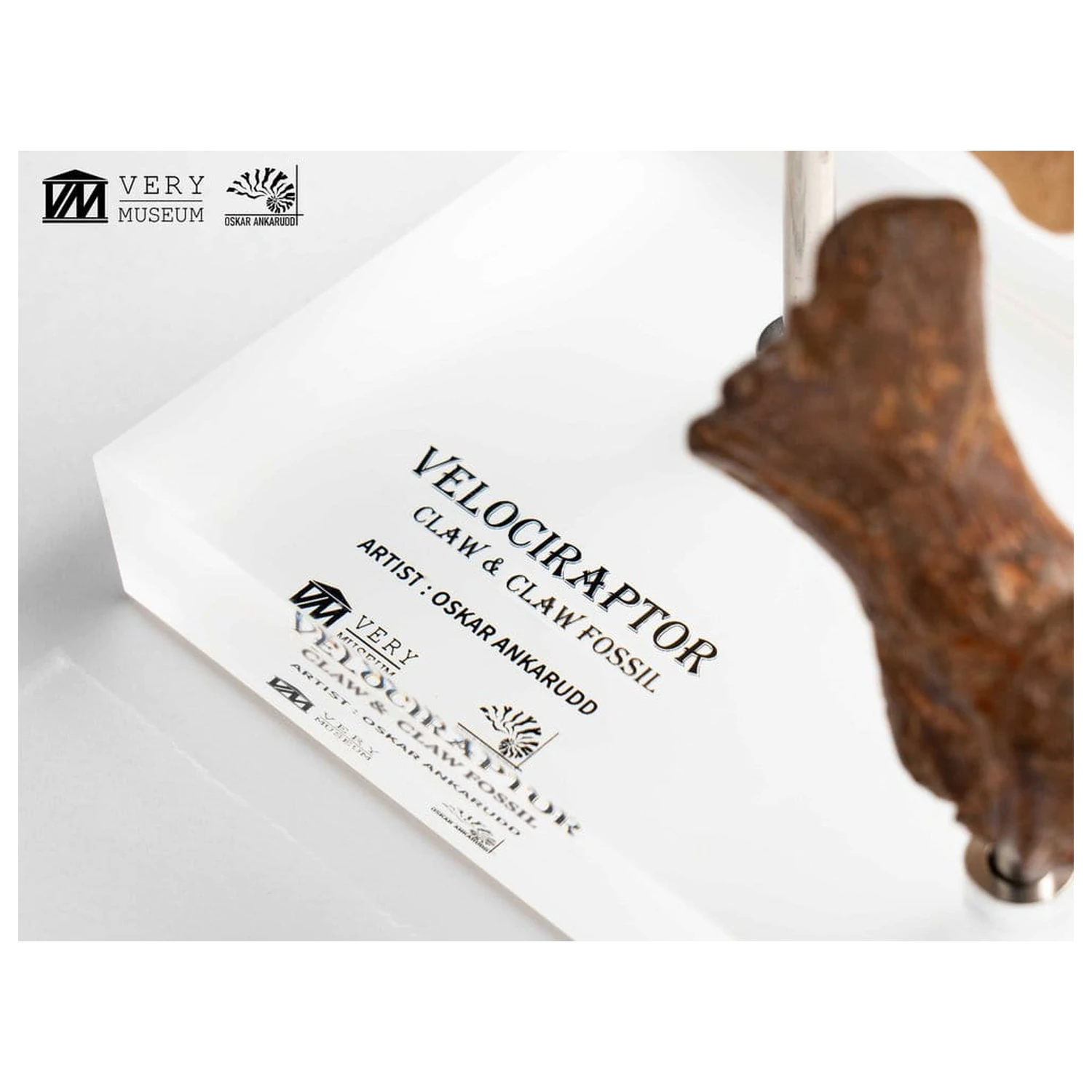 Jurassic Park ECC Elite Creature Line Statuie Gheara piciorului si setul de gheare fosilizate Velociraptor 20 cm poza produsului