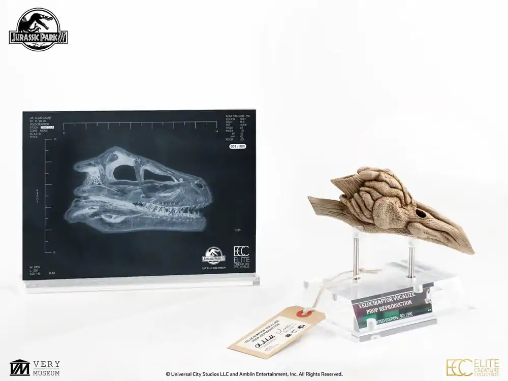 Jurassic Park III Prop Replica 1/1 Velociraptor Resonance Chamber 18 cm poza produsului