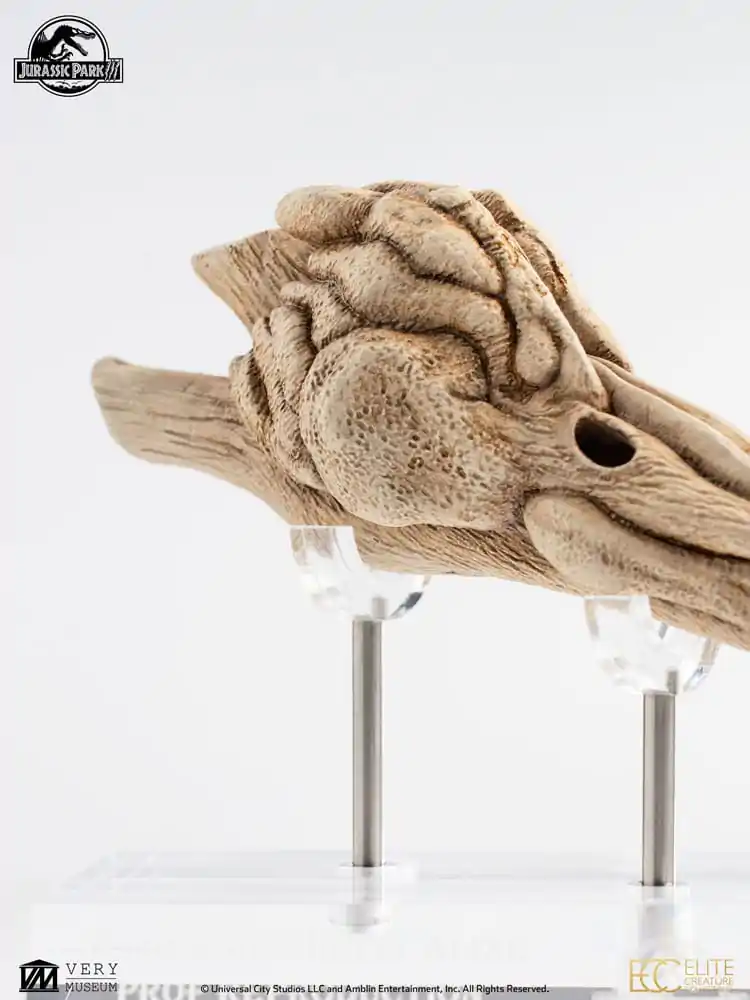 Jurassic Park III Prop Replica 1/1 Velociraptor Resonance Chamber 18 cm poza produsului