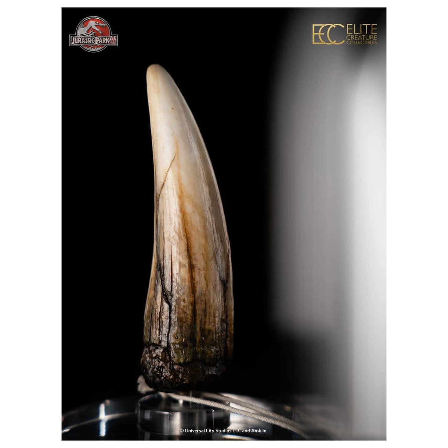 Jurassic Park III Prop Replica 1/1 Spinosaurus Tooth 14 cm poza produsului