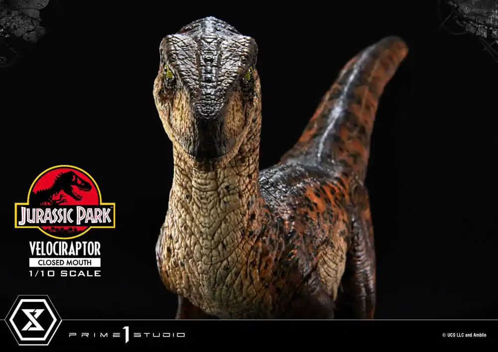 Jurassic Park Prime Collectibles Statuie 1/10 Velociraptor Gură Închisă 19 cm poza produsului