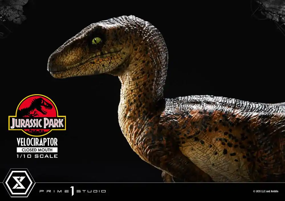 Jurassic Park Prime Collectibles Statuie 1/10 Velociraptor Gură Închisă 19 cm poza produsului