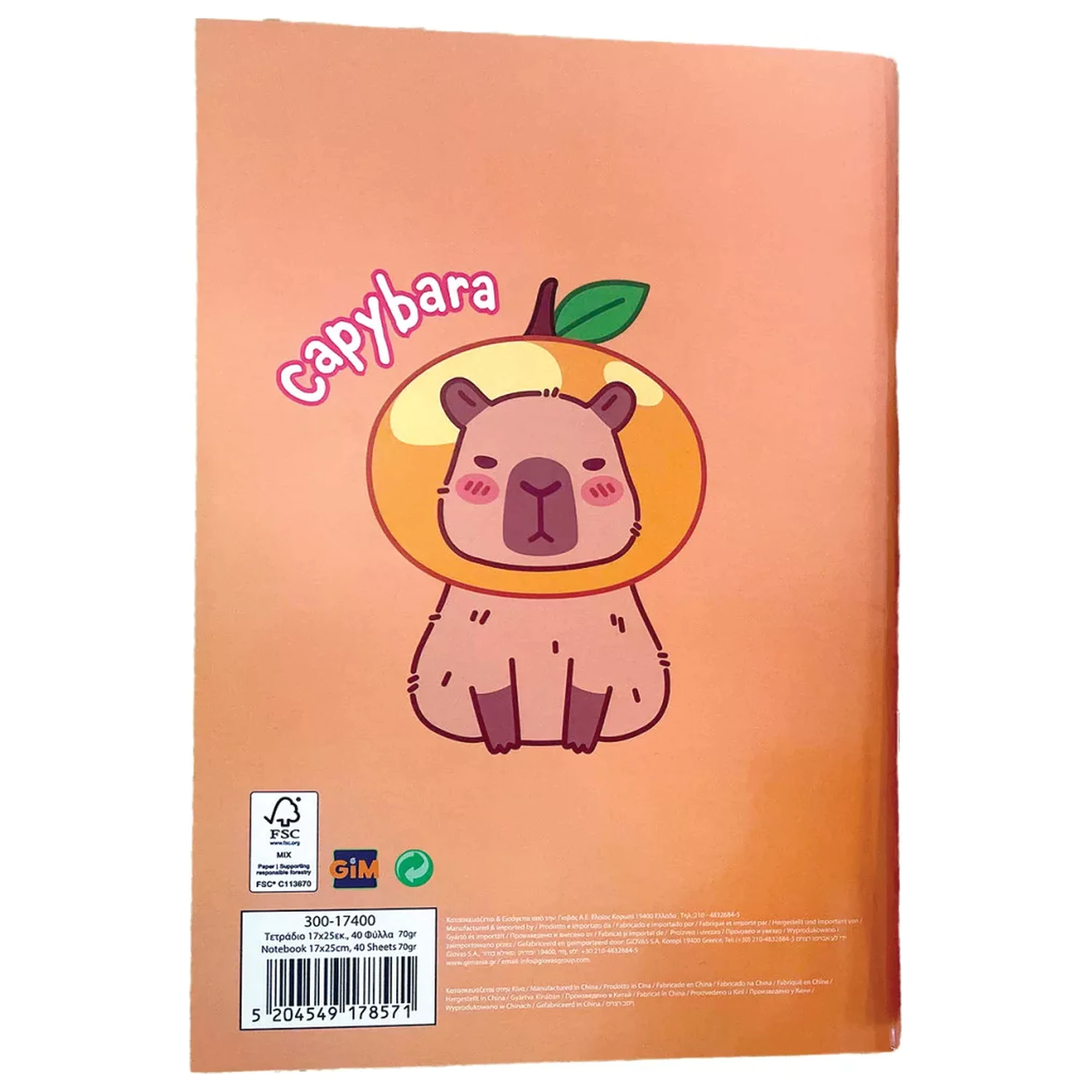 Capybara Chill B/5 Caiet Liniat 40 pagini poza produsului