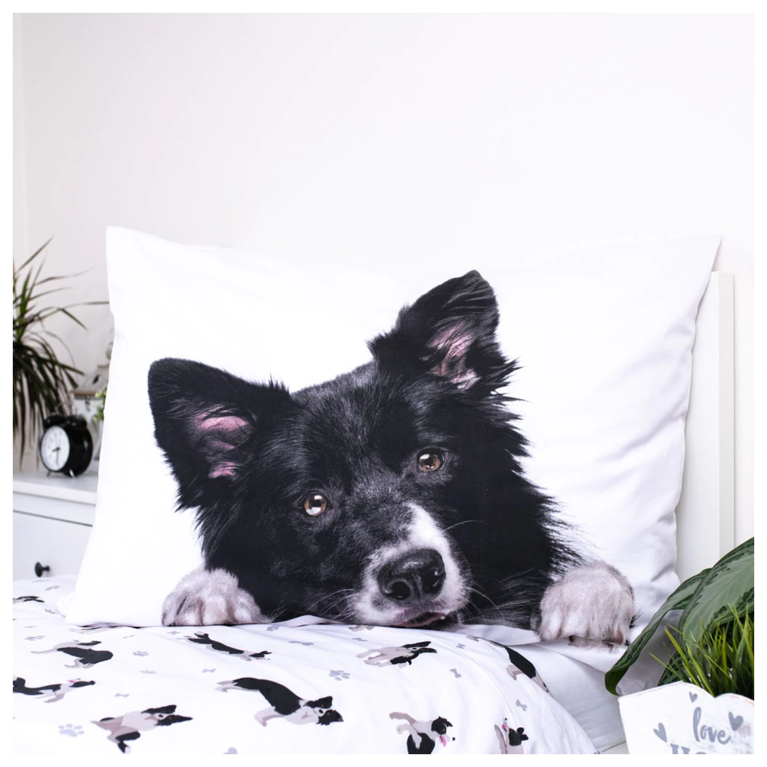 Dog Border Collie Husa de pilota poza produsului