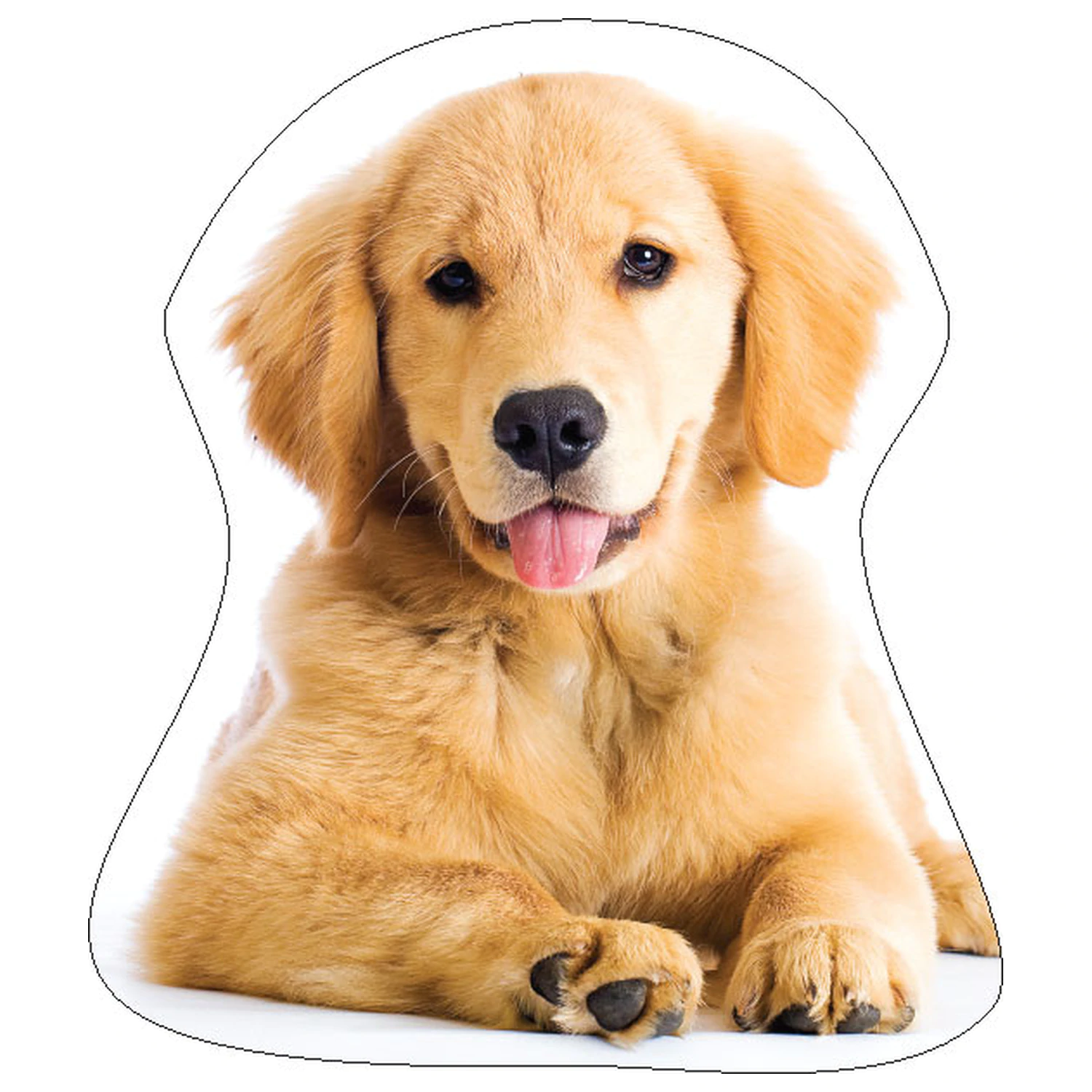 Golden Retriever Dog Shaped Pillow, Perna Decorativa poza produsului