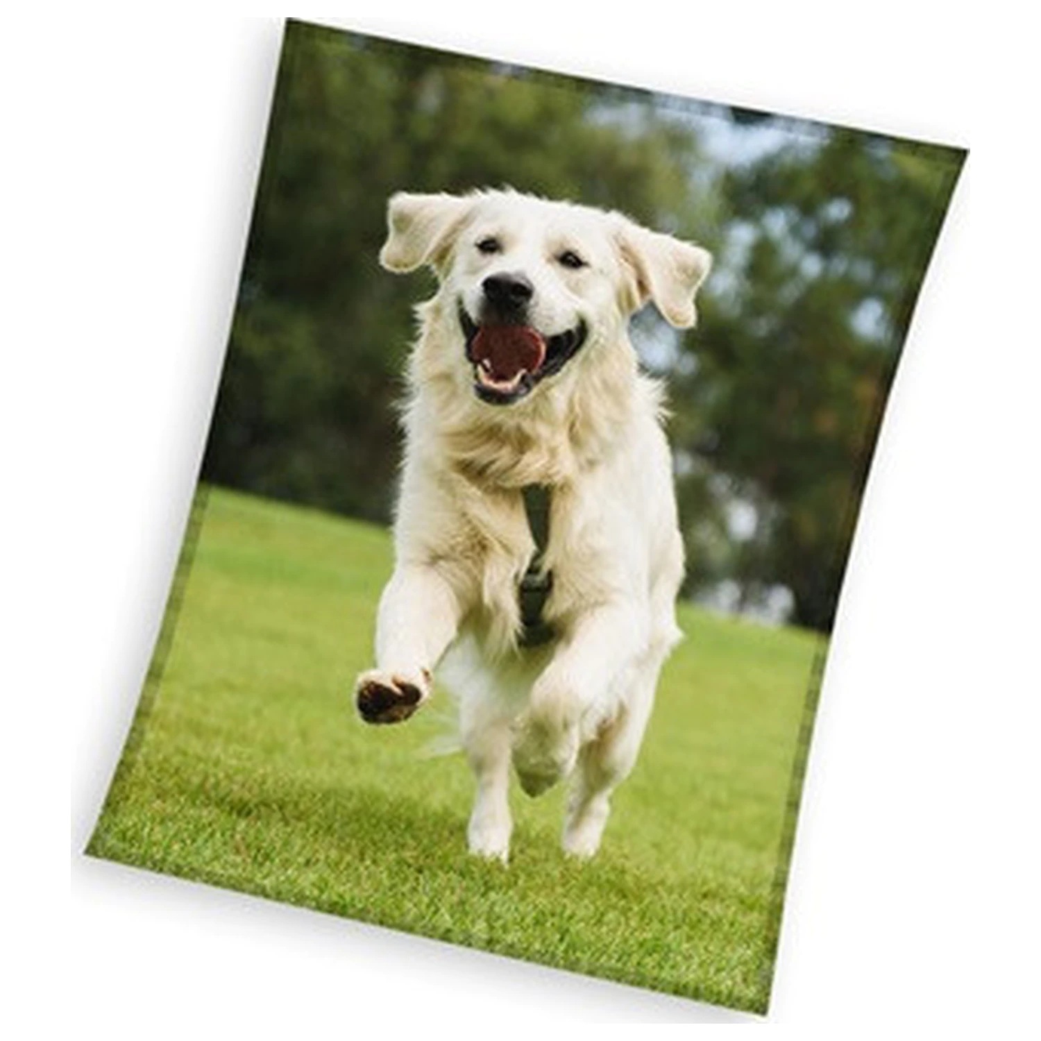 Dog Happy Tail Retriever Patură Fleece 150x200cm poza produsului