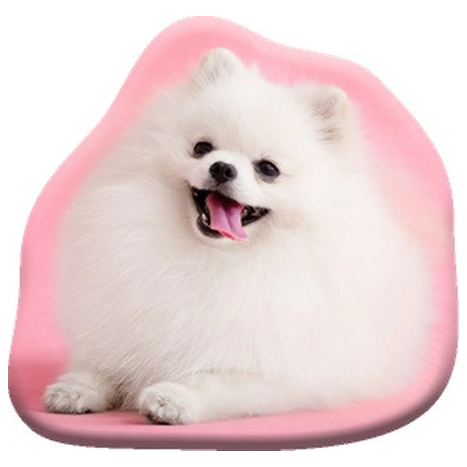 Perna in forma de caine Pomeranian, perna decorativa poza produsului