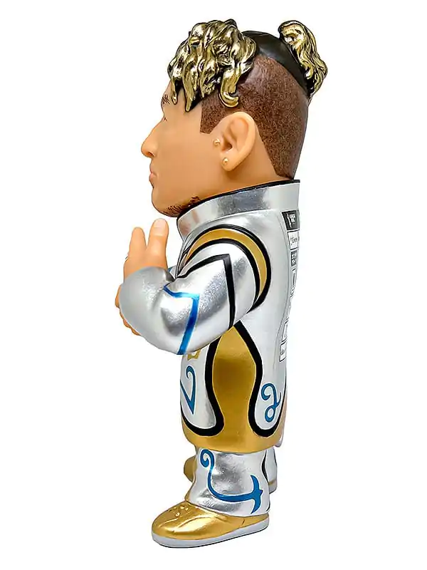 Colecție Figurina Legend Masters 16d Colecție Figurine Vinyl 032: Naomichi Marufuji 12 cm poza produsului