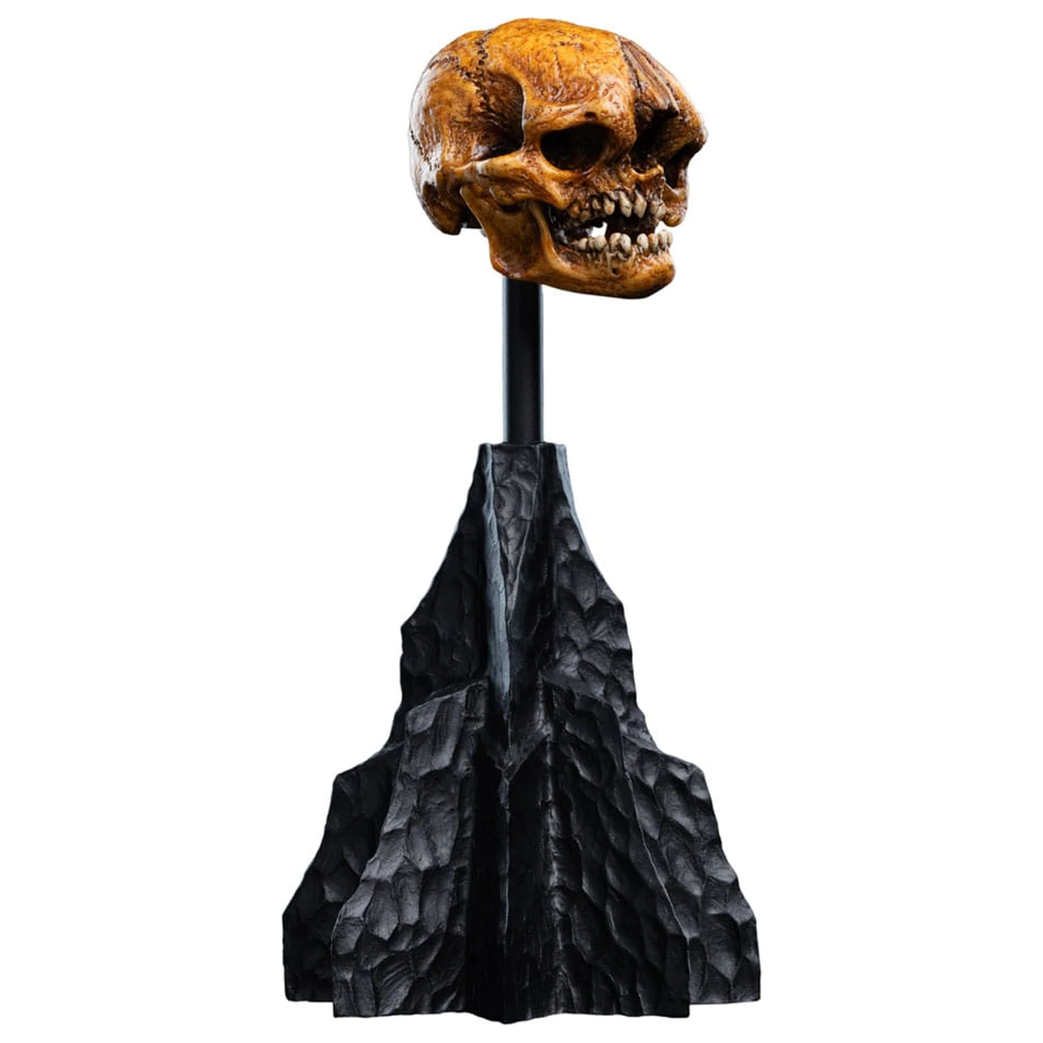 Lord of the Rings Mini Statuie Craniu al unui goblin din Muntele Cetos 14 cm poza produsului
