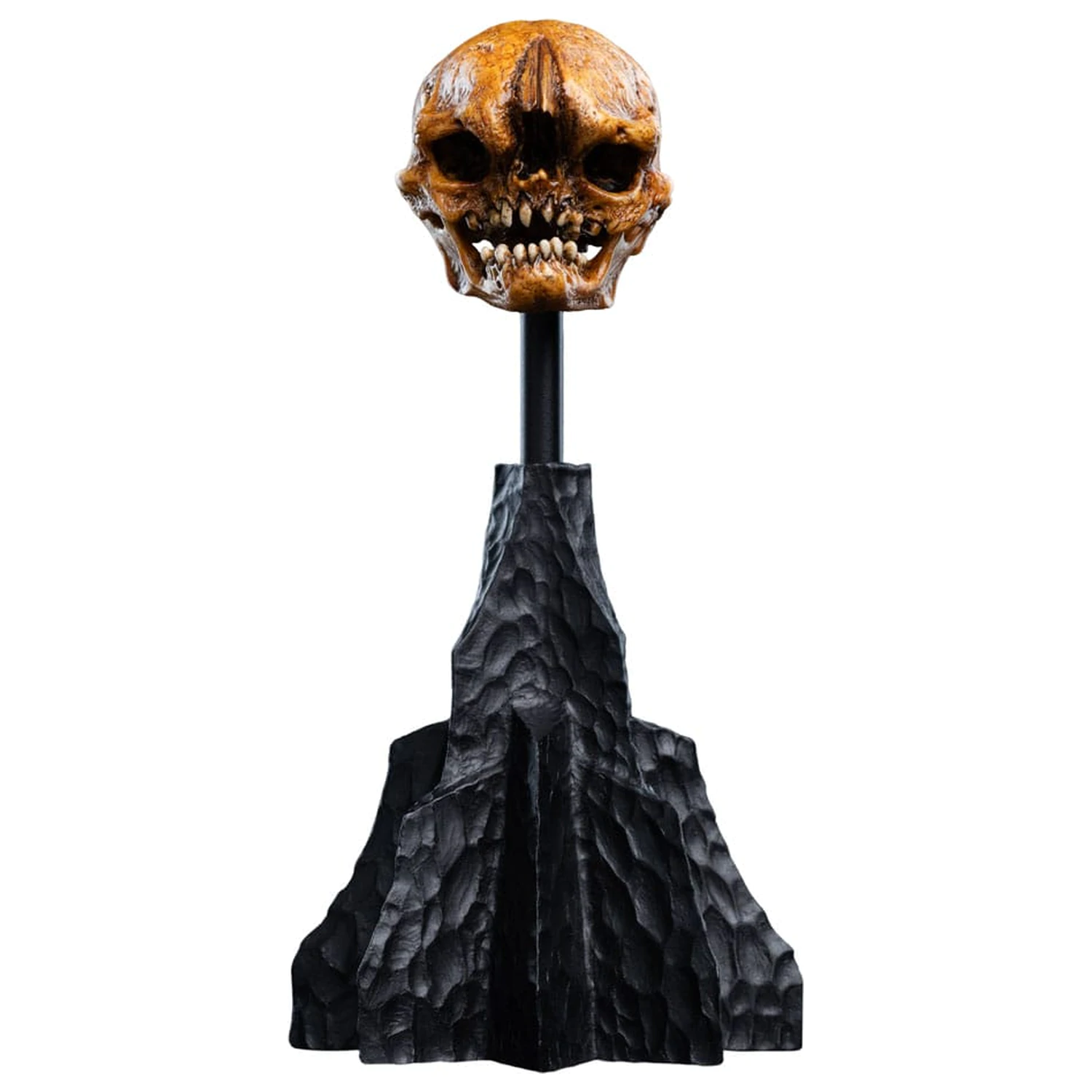 Lord of the Rings Mini Statuie Craniu al unui goblin din Muntele Cetos 14 cm poza produsului