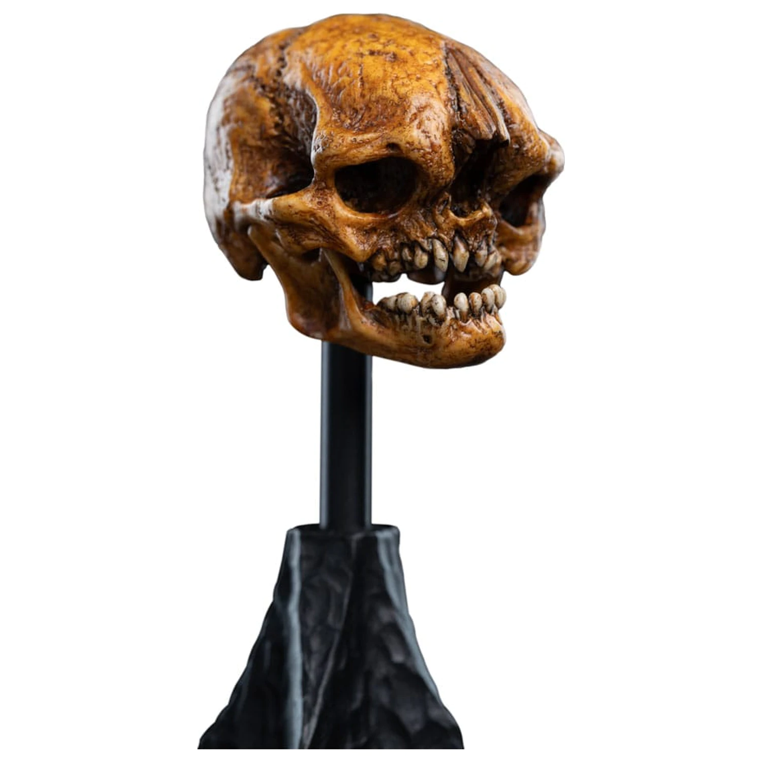 Lord of the Rings Mini Statuie Craniu al unui goblin din Muntele Cetos 14 cm poza produsului