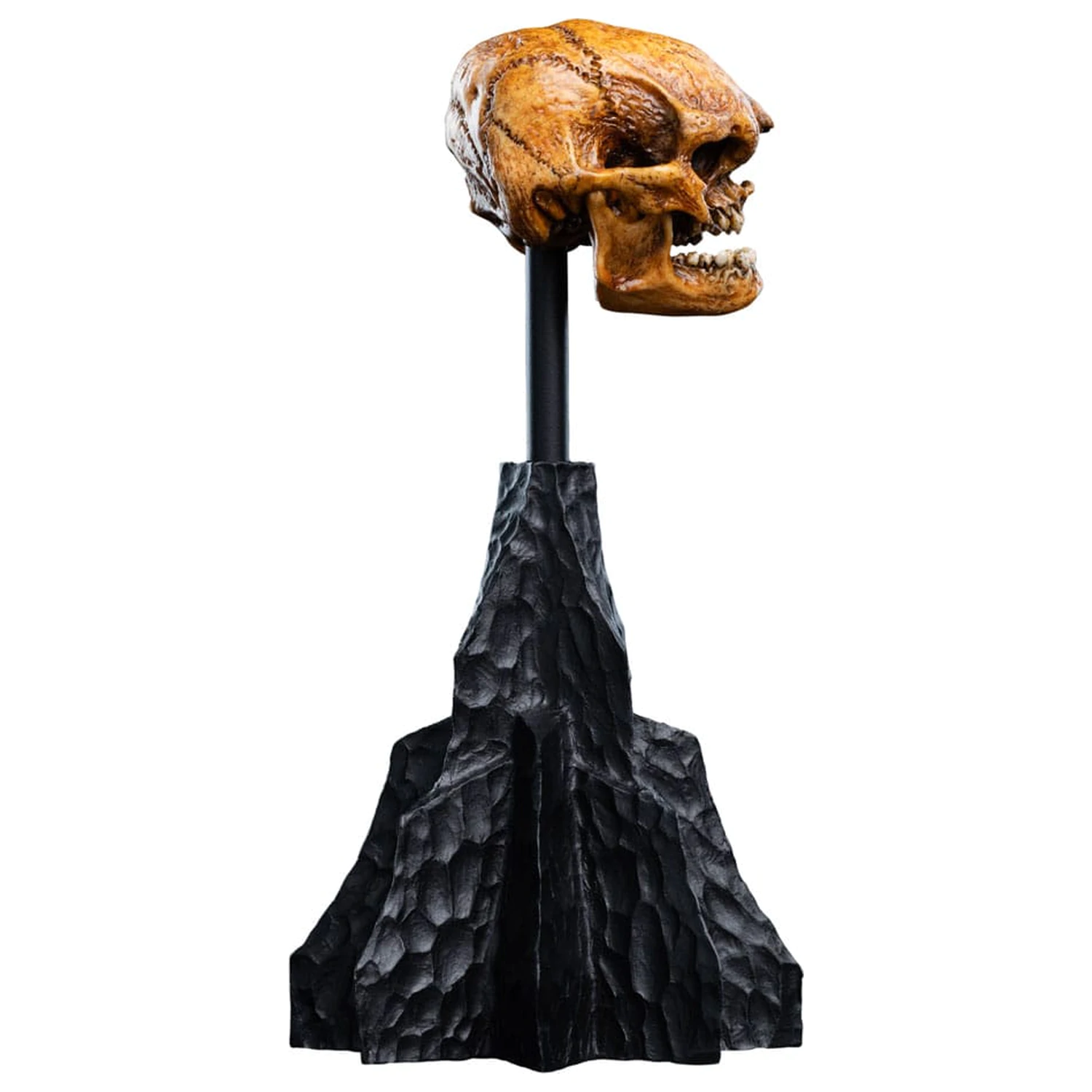 Lord of the Rings Mini Statuie Craniu al unui goblin din Muntele Cetos 14 cm poza produsului