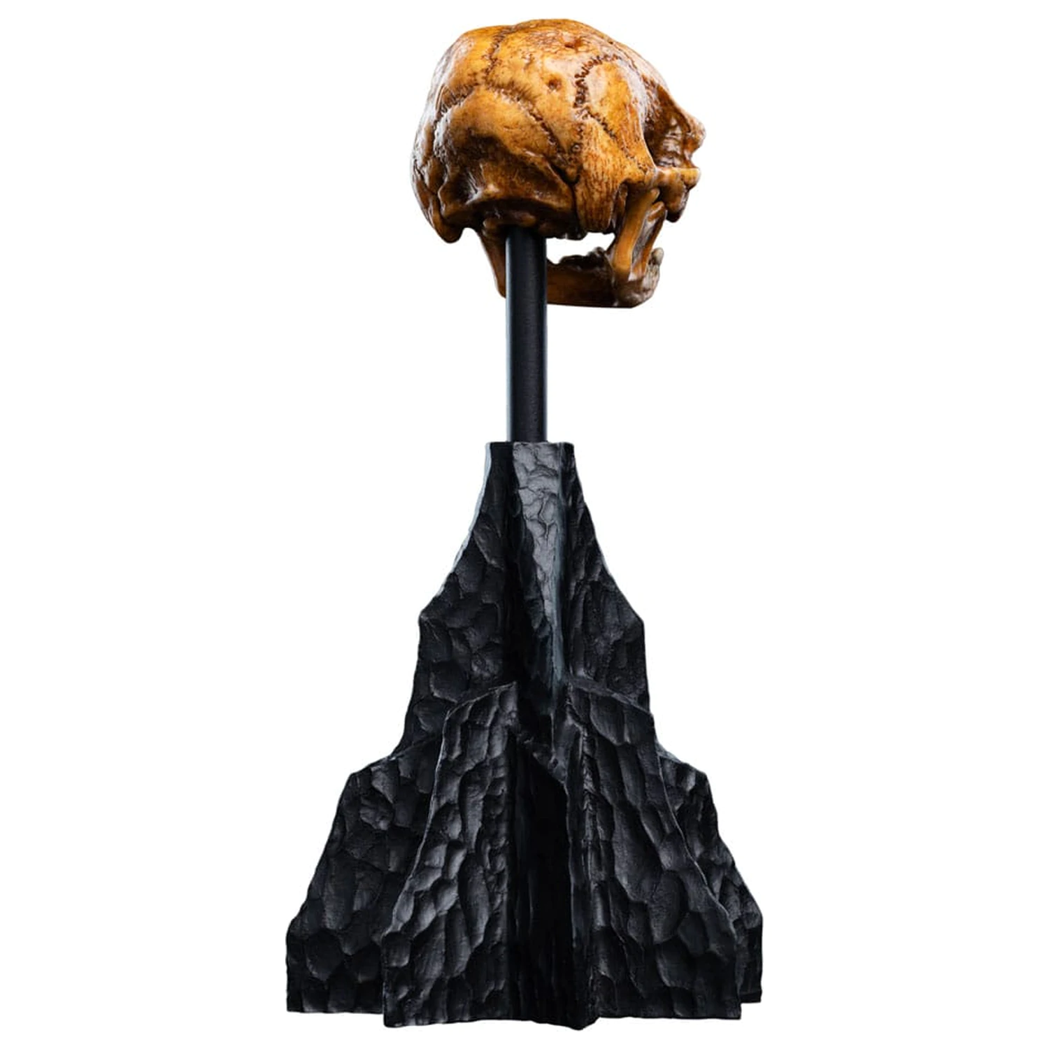 Lord of the Rings Mini Statuie Craniu al unui goblin din Muntele Cetos 14 cm poza produsului