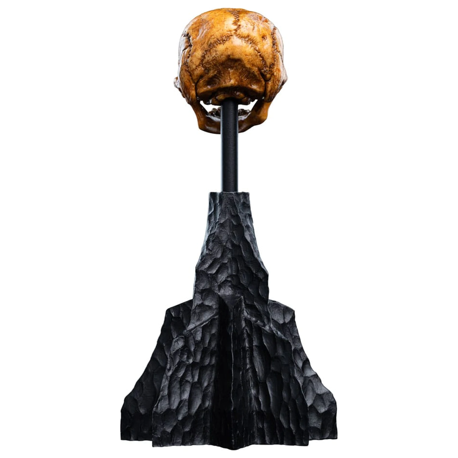 Lord of the Rings Mini Statuie Craniu al unui goblin din Muntele Cetos 14 cm poza produsului