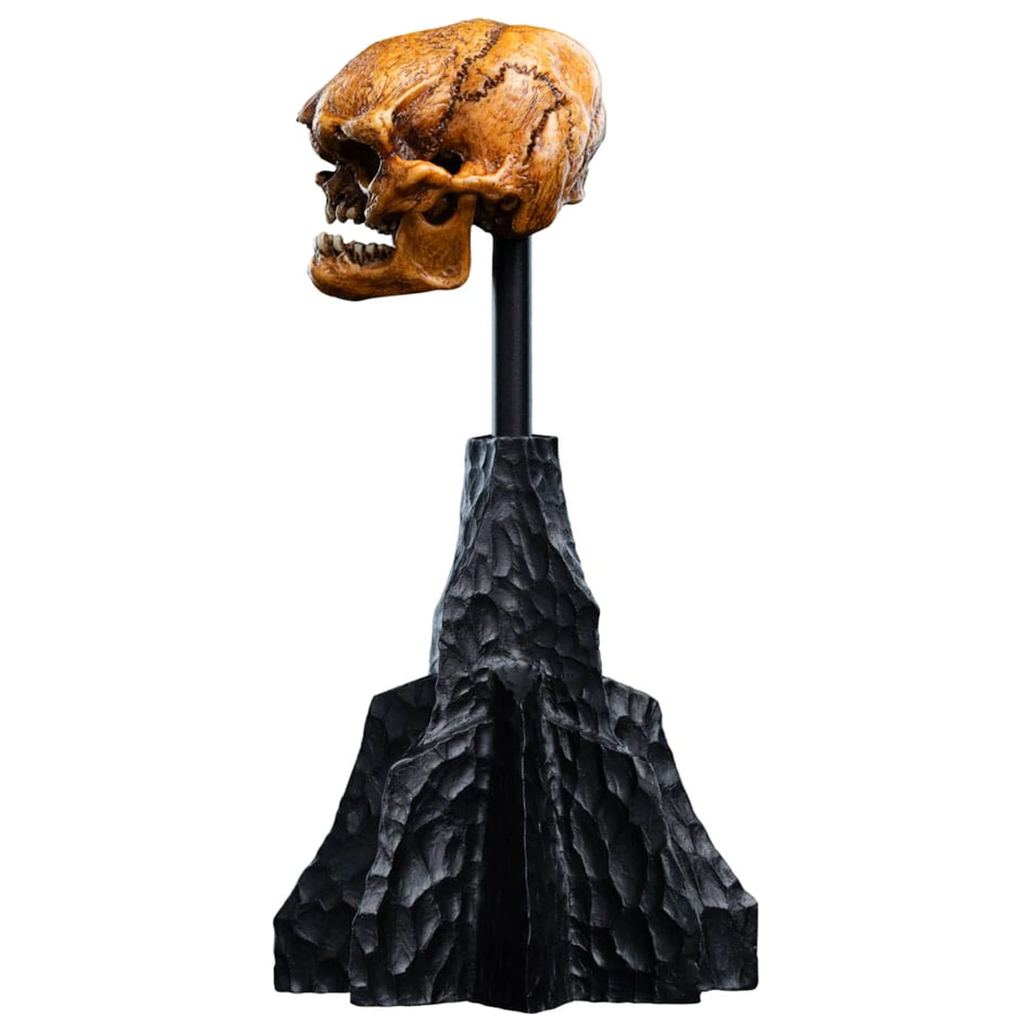 Lord of the Rings Mini Statuie Craniu al unui goblin din Muntele Cetos 14 cm poza produsului