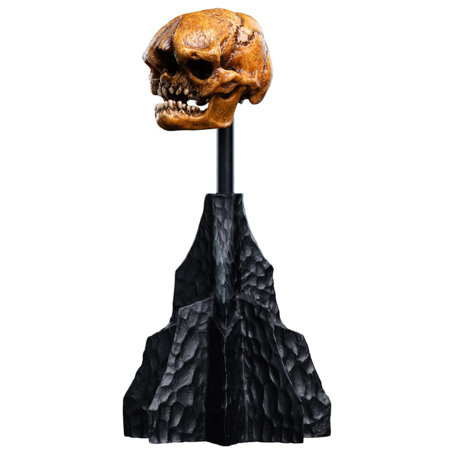 Lord of the Rings Mini Statuie Craniu al unui goblin din Muntele Cetos 14 cm poza produsului
