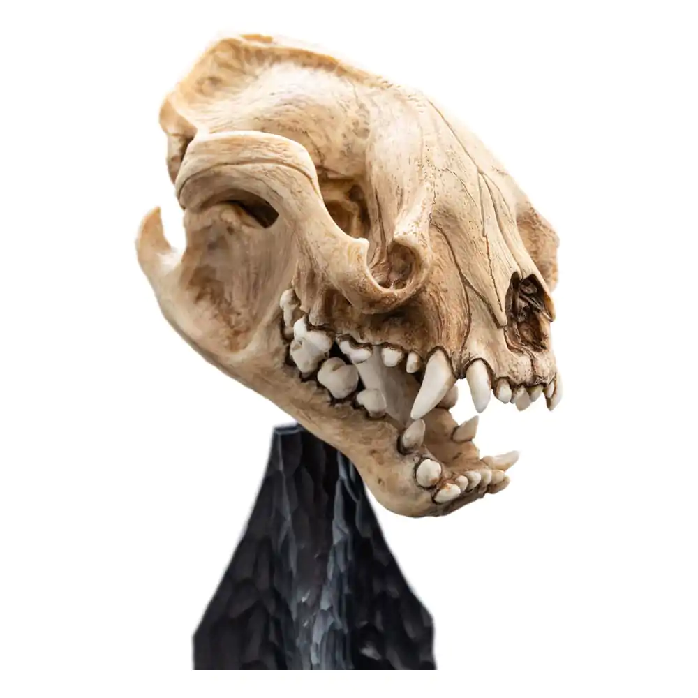 Lord of the Rings Mini Statuie Craniu de Warg 20 cm poza produsului