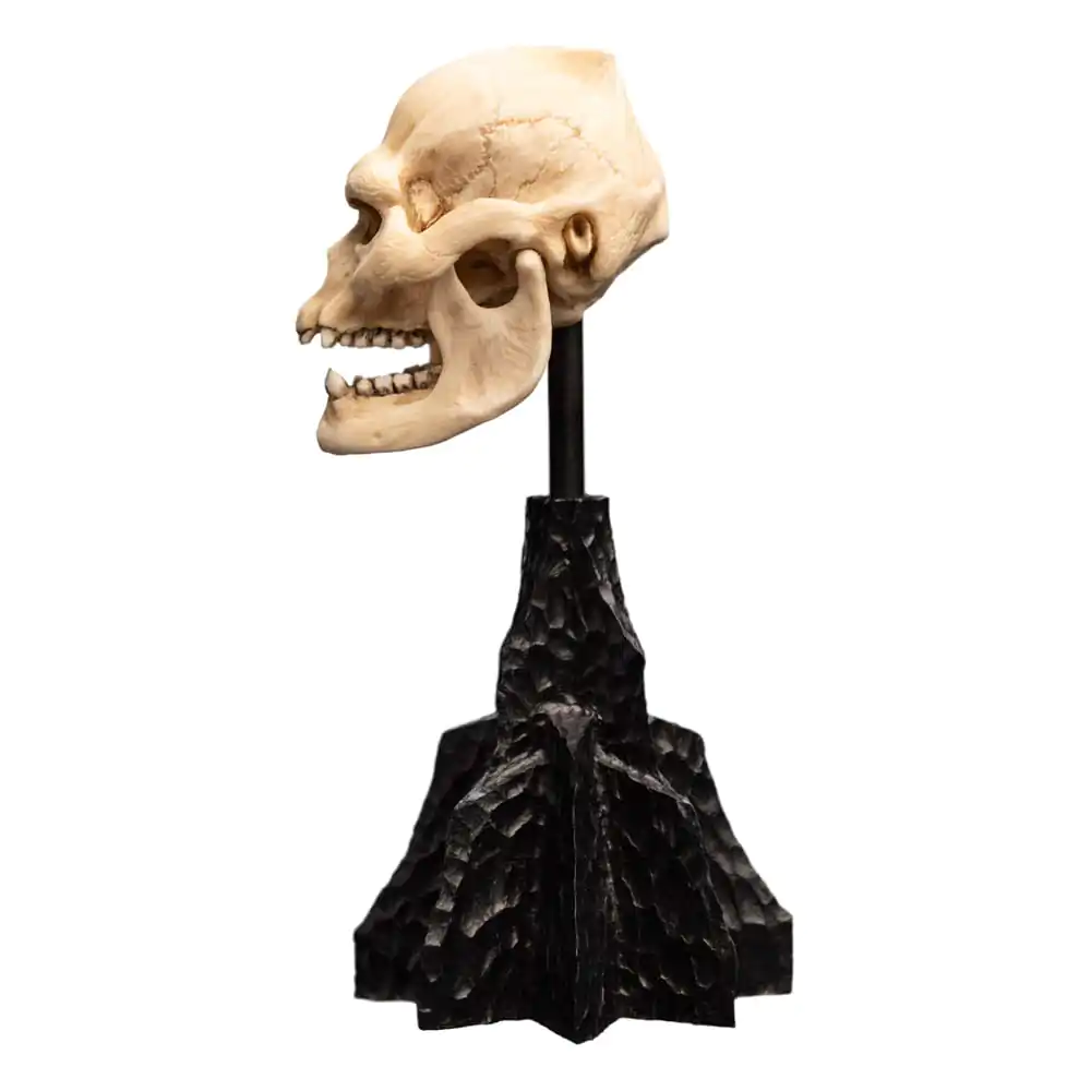 Lord of the Rings Mini Statuie Skull of Lurtz 14 cm poza produsului