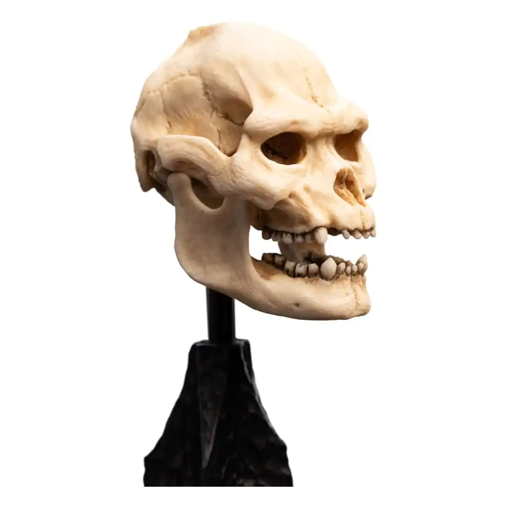 Lord of the Rings Mini Statuie Skull of Lurtz 14 cm poza produsului