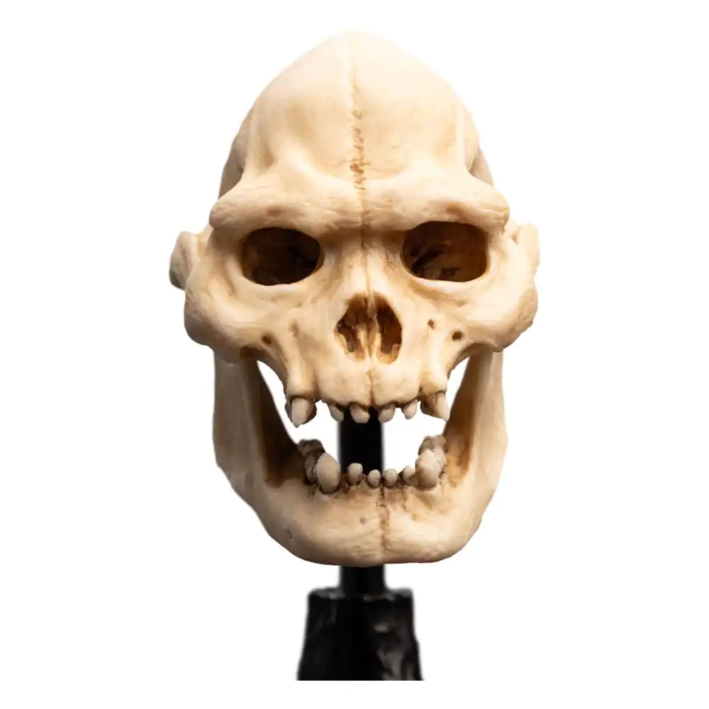 Lord of the Rings Mini Statuie Skull of Lurtz 14 cm poza produsului