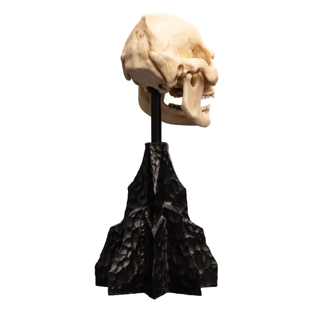 Lord of the Rings Mini Statuie Skull of Lurtz 14 cm poza produsului