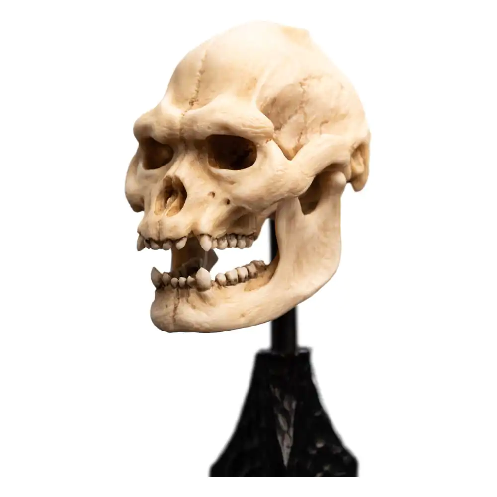Lord of the Rings Mini Statuie Skull of Lurtz 14 cm poza produsului