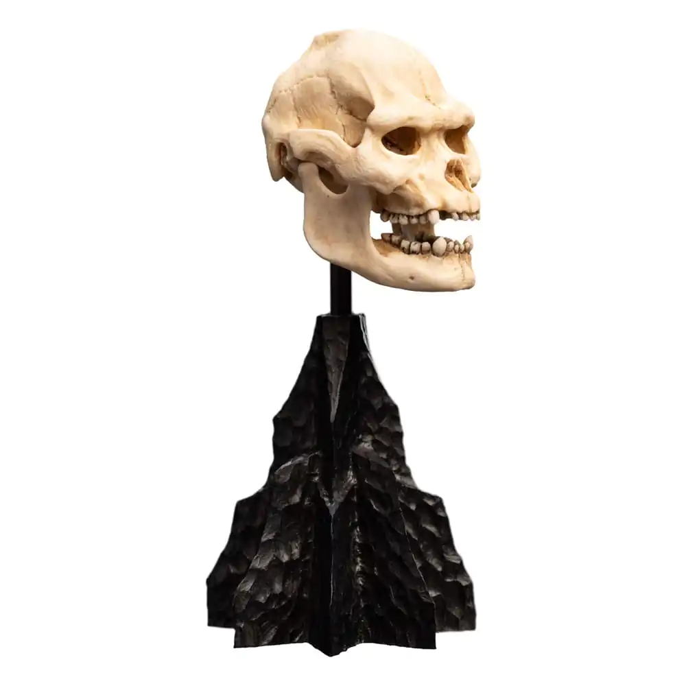 Lord of the Rings Mini Statuie Skull of Lurtz 14 cm poza produsului