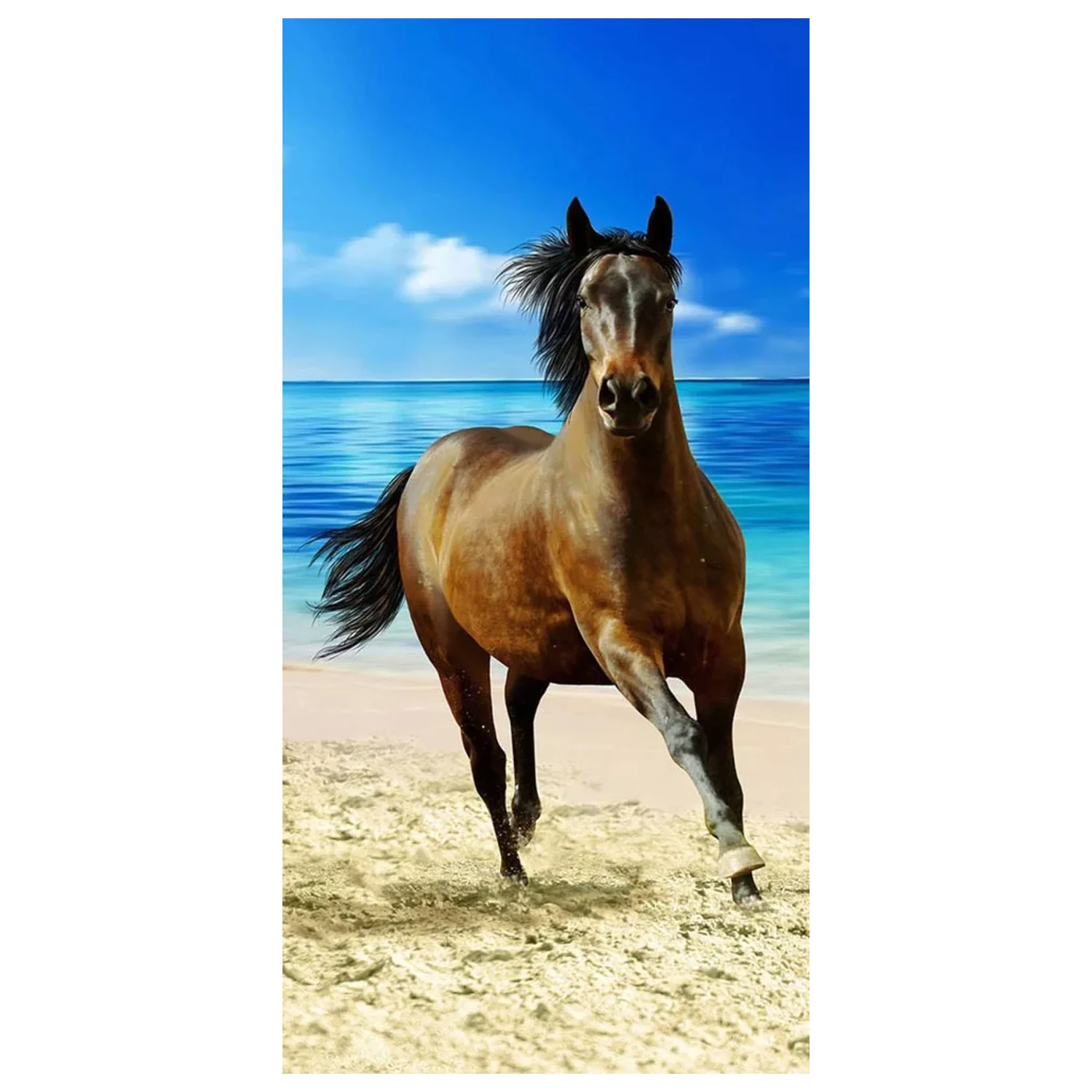 Rider Prosop de plaja 70x140cm poza produsului