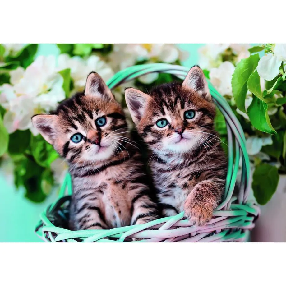 Puzzle Lovely Kitty Twins 60 piese poza produsului