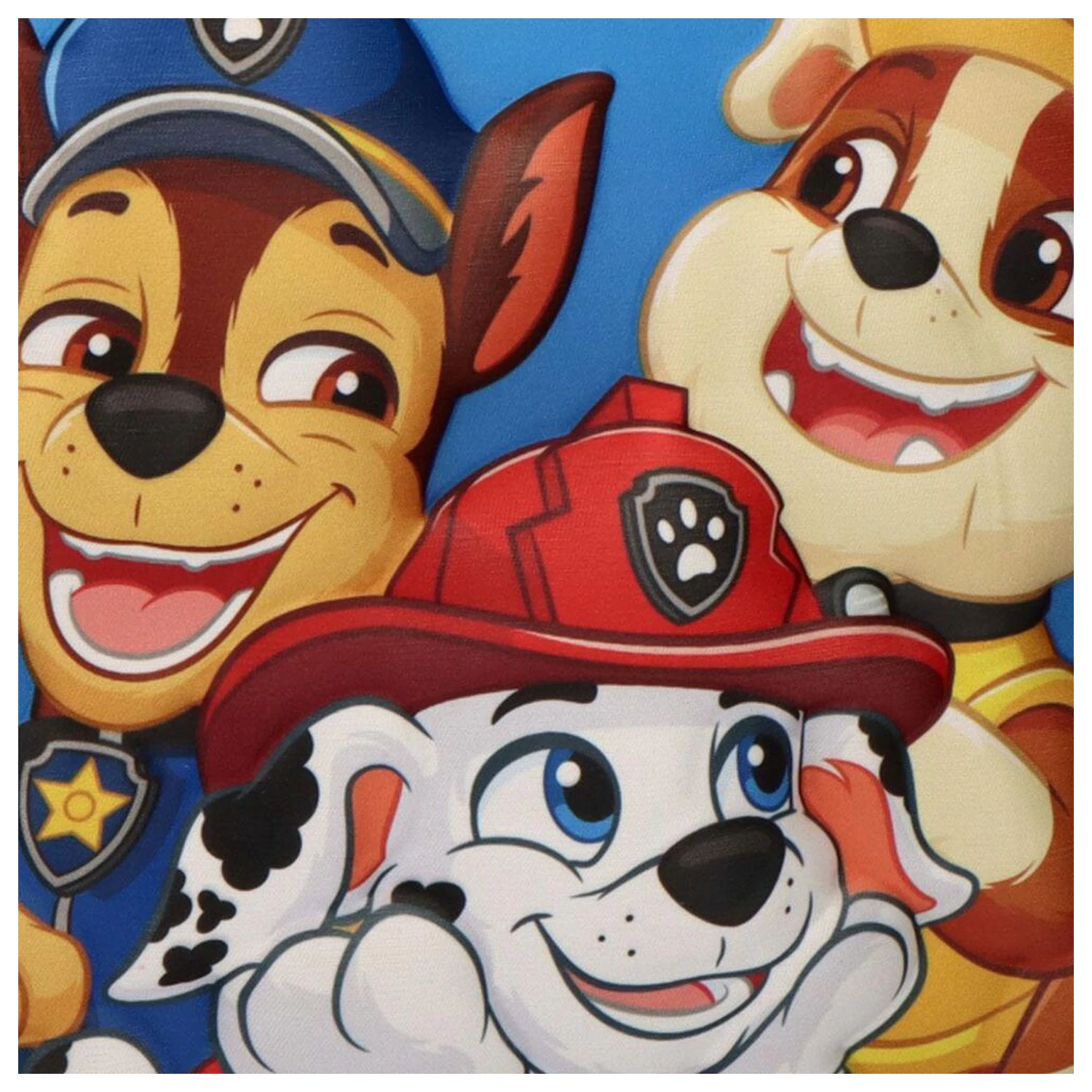 Paw Patrol Geanta de pranz 3D poza produsului