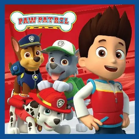 Paw Patrol Magic Prosop de mână, Prosop de față, Prosop 30x30cm poza produsului