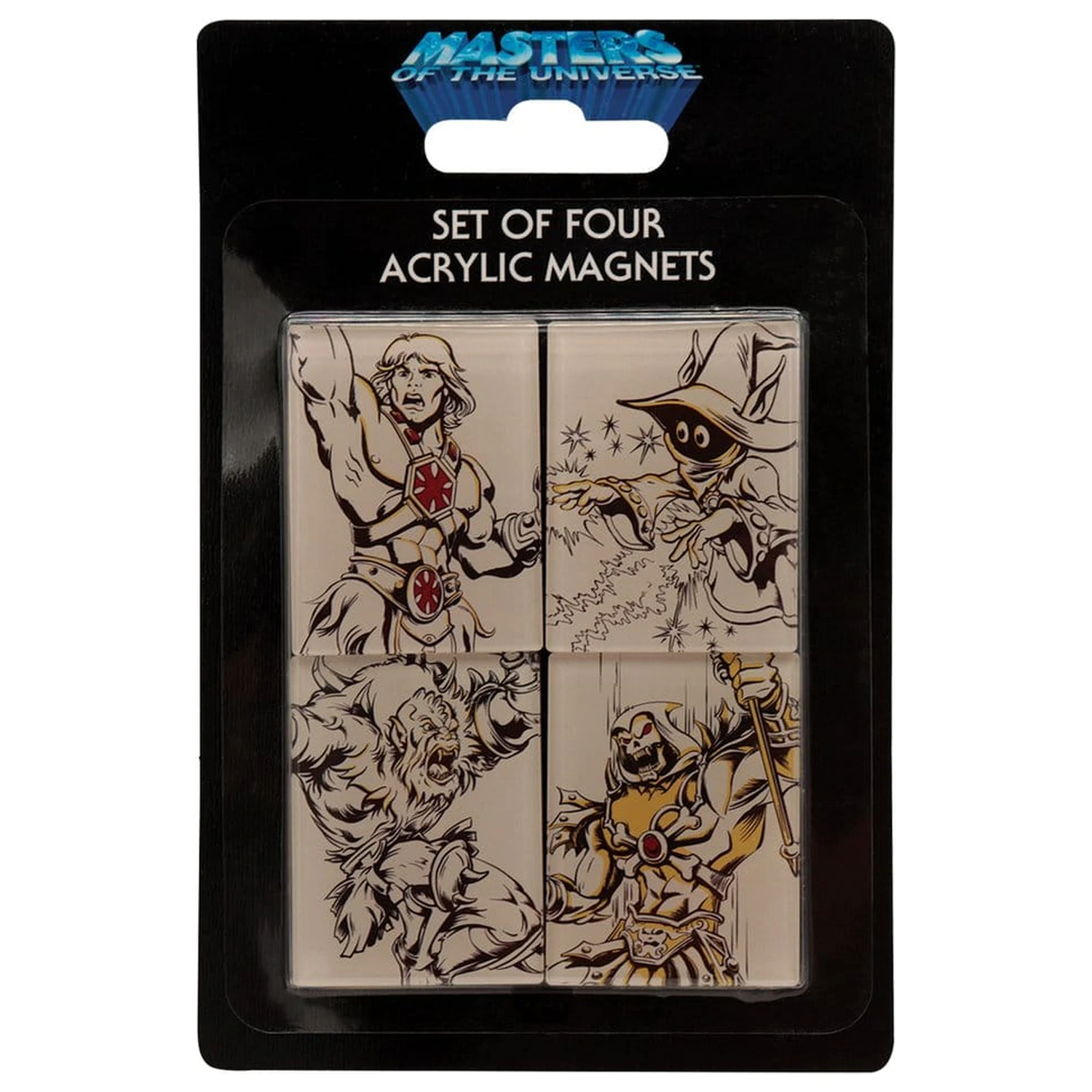 Masters of the Universe Magnets Pachet cu 4 piese poza produsului