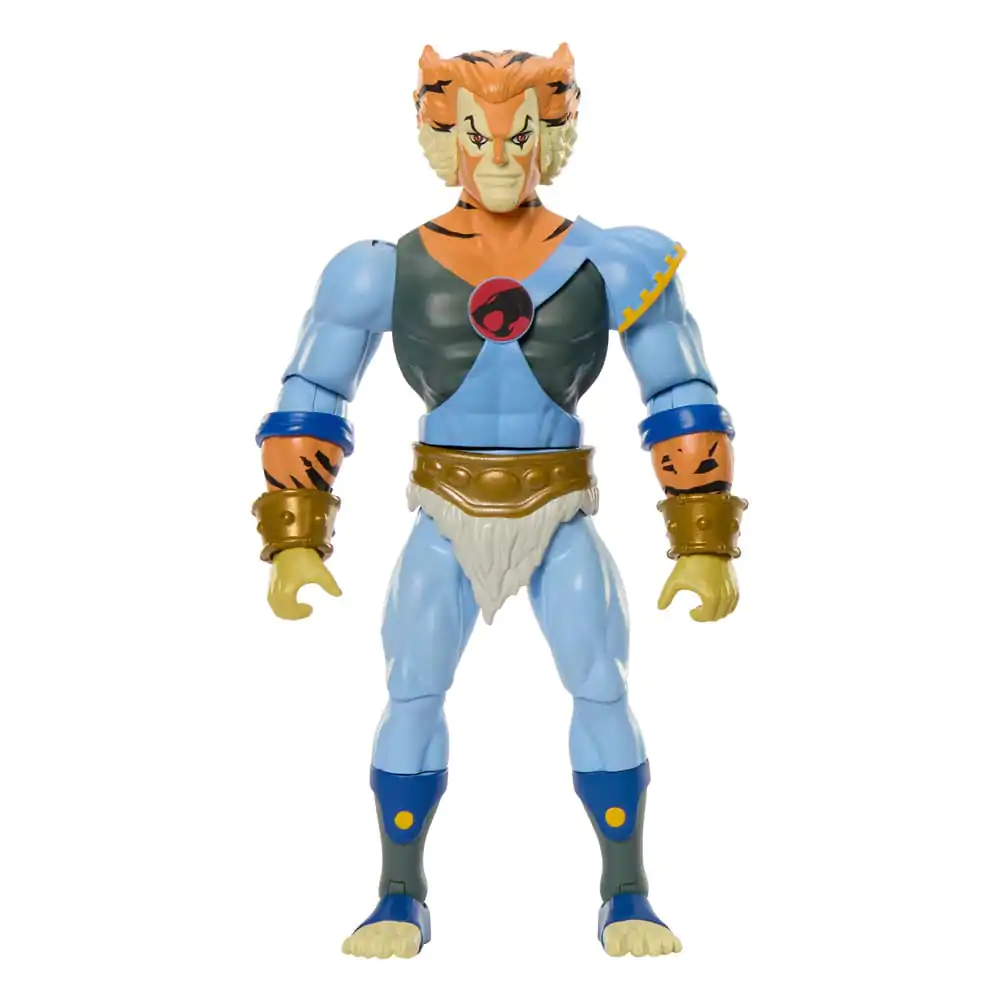 Masters of the Universe Origins Thundercats figurină Tygra poza produsului