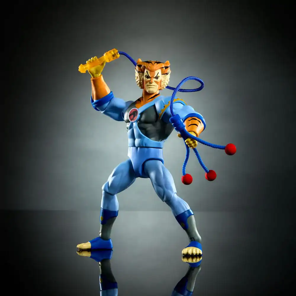Masters of the Universe Origins Thundercats figurină Tygra poza produsului