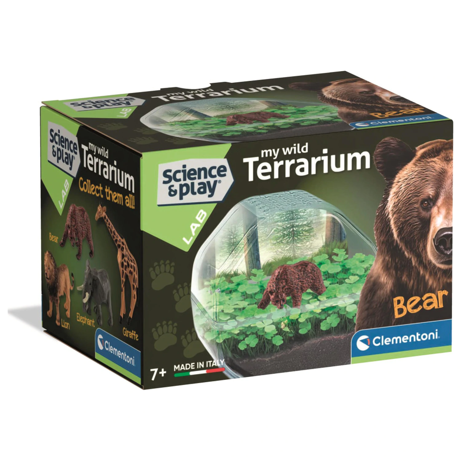 Mini Bear Terrarium poza produsului