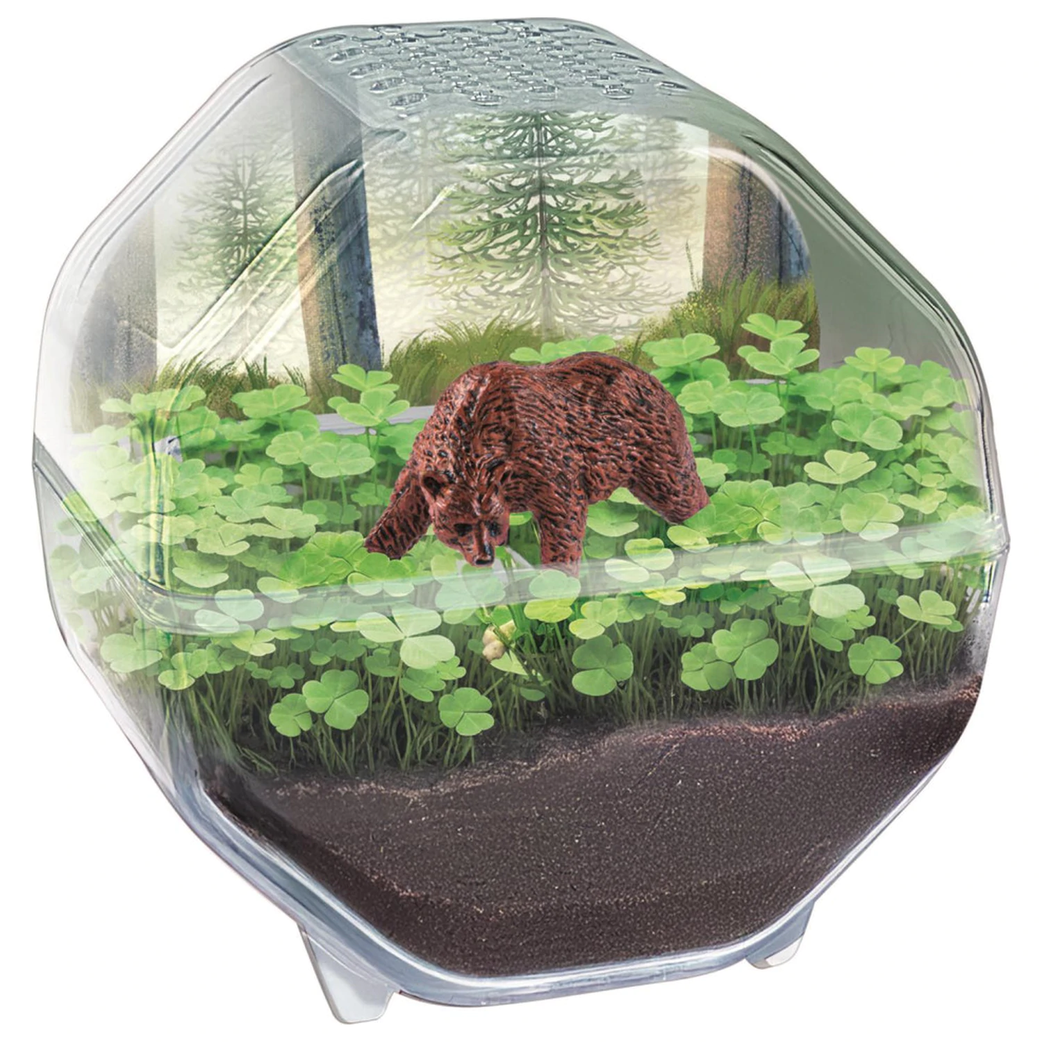 Mini Bear Terrarium poza produsului