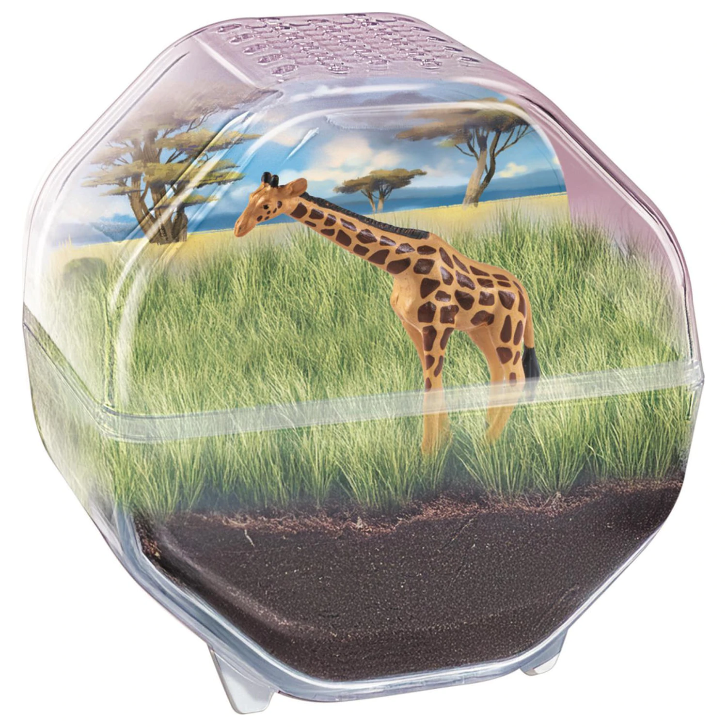 Mini Giraffe terariu poza produsului